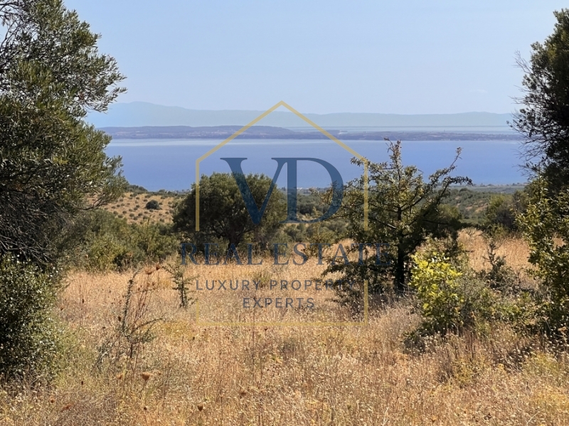 property-img